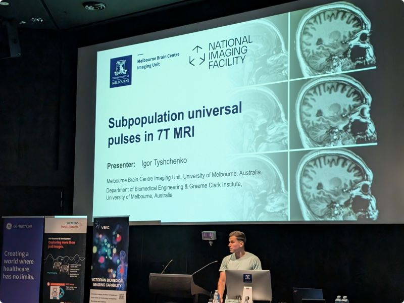 Igor Tyschenko presenting his work on sub-population pulses.
