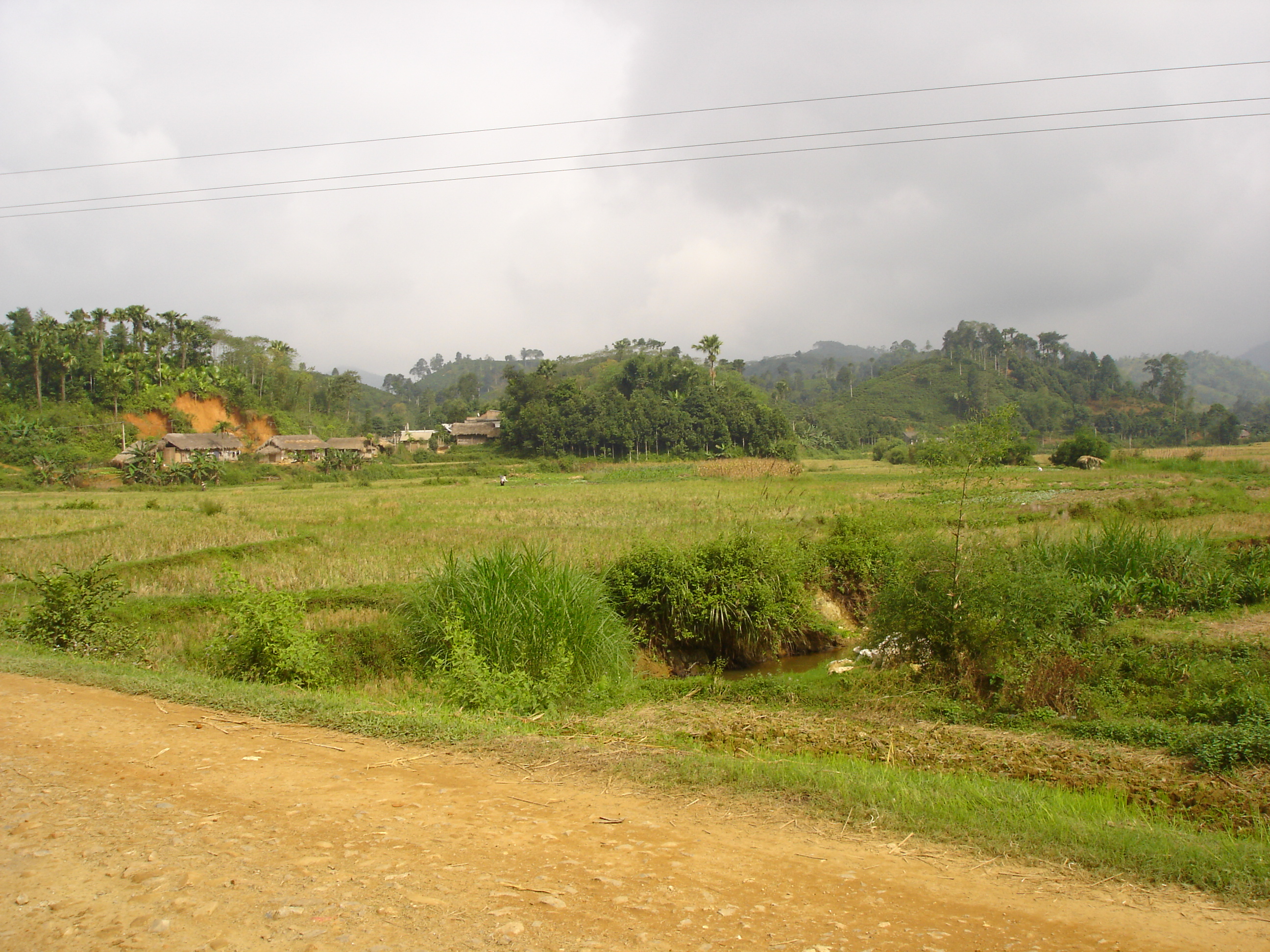 Photo taken during implementation of a demonstration program to reduce the burden of anaemia and hookworm in women in Yên Bái Province, Viet Nam. Picture shows dirt road in the foreground, with a small tract of farmland interspersed with forested areas. There is a small village of three or four houses on the far-side of the farmland. The weather is cloudy.