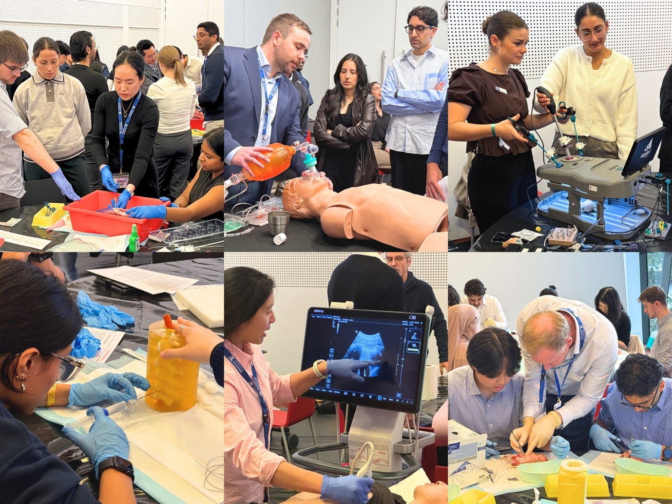 Workshop participants at the MDSC