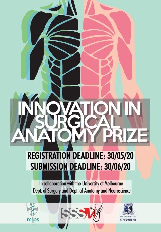 innovation in surgical anatomy