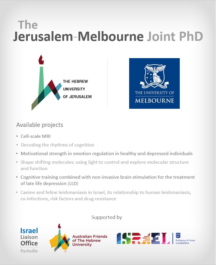 Joint PhD Flyer