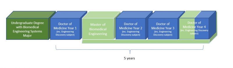 Diagram showing the 5 year pathway