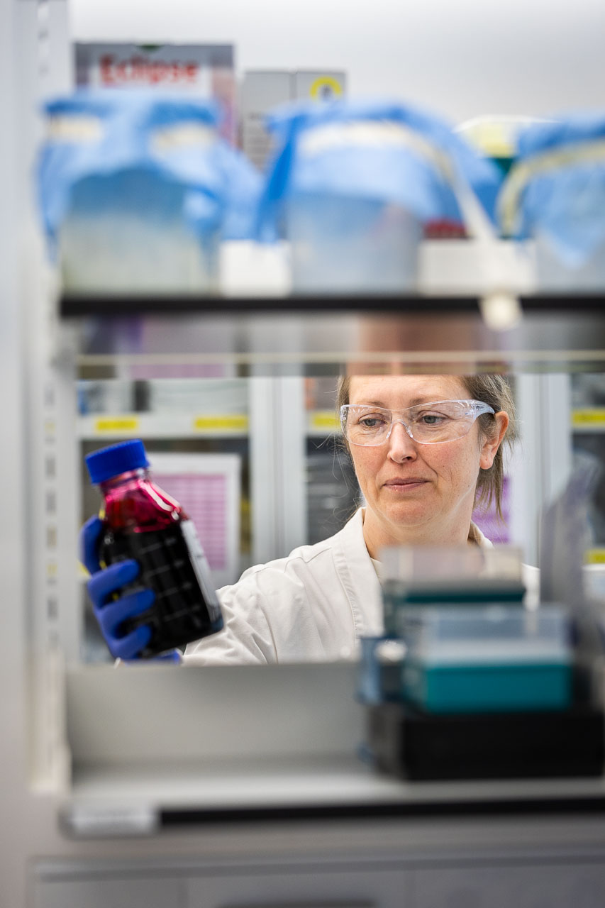 Alum Associate Professor Tracy Putoczki wears PPE while holding a burgundy-coloured container of hematoxylin solution in her laboratory at WEHI