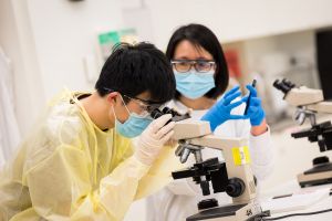 Two masked researchers in a lab, one using a microscope