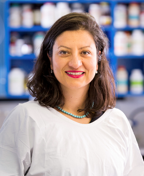 Prof Elif Ekinci