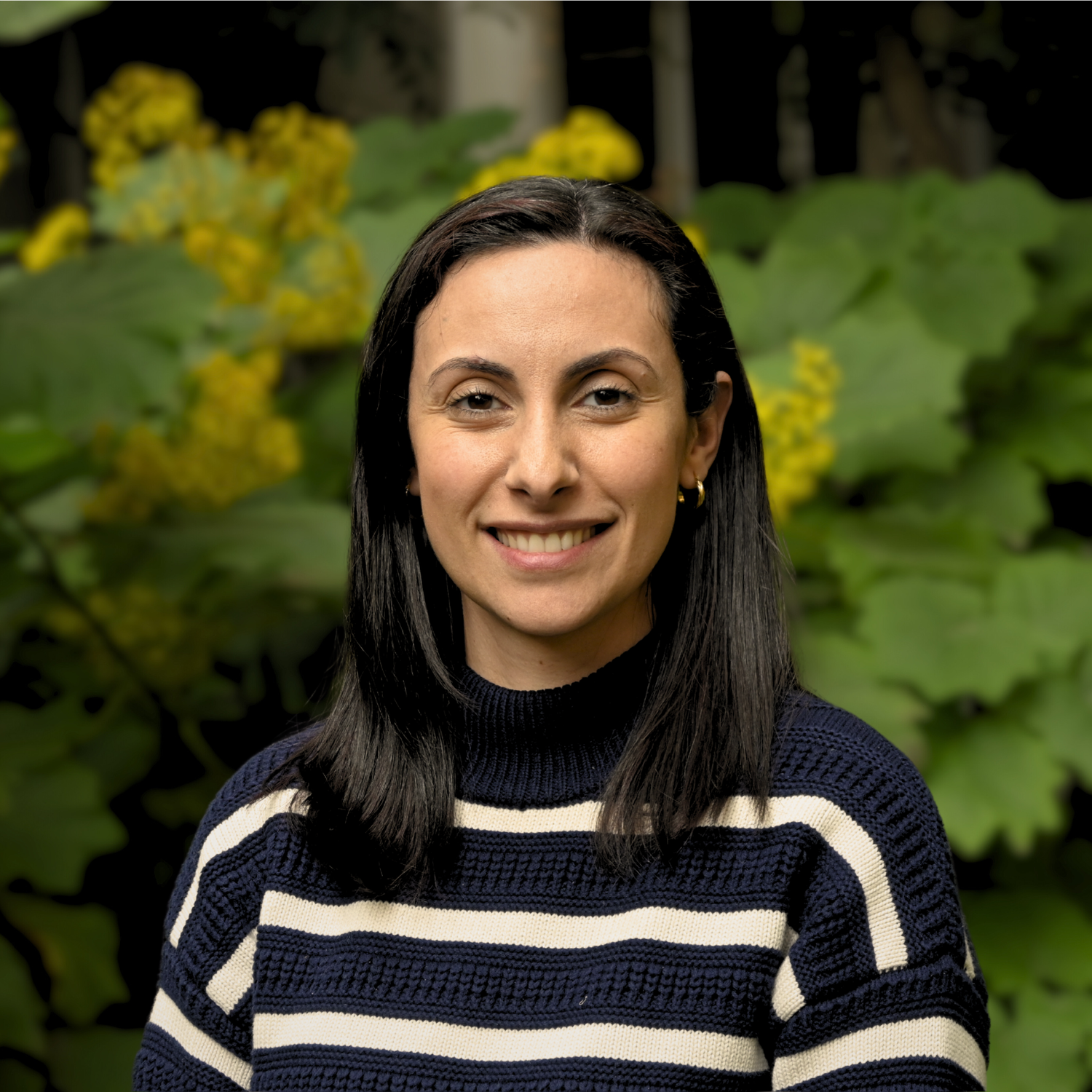 Image for Dr Rim Ghali