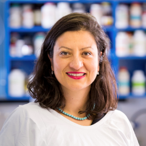 Image for Professor Elif Ekinci